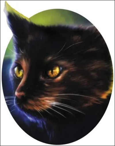 Je ressemble physiquement à mon grand-père mais mon caractère est bien différent, je suis le fils de la fille d'Etoile du Tigre. Qui suis-je ?