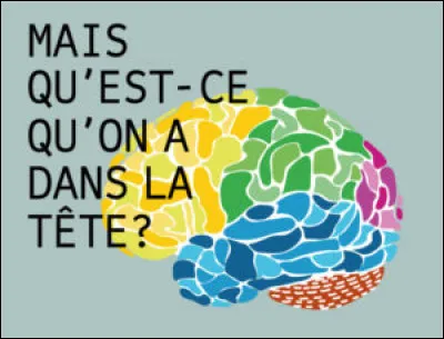 L'aire de Broca est une zone dans notre cerveau. Que nous apporte-t-elle ?