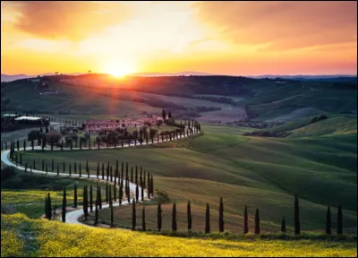 Maintenant, retournons sur les paysages, veux-tu un champ ?