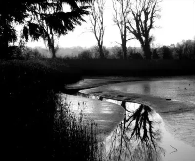 Veux-tu que la photo soit sombre ? (comme une lune par exemple)