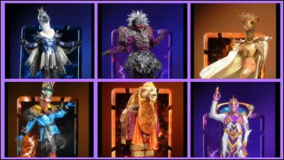 Qui a déjà remporté une saison de ''Mask Singer'' ?