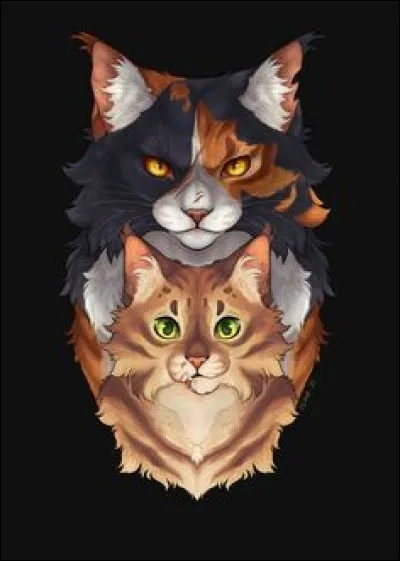 De quel clan fait-il partie ?