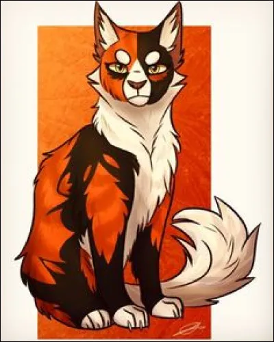 Quel est le physique d'Ombre d'Érable ?