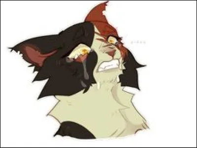 Comment sont morts ses chatons ?