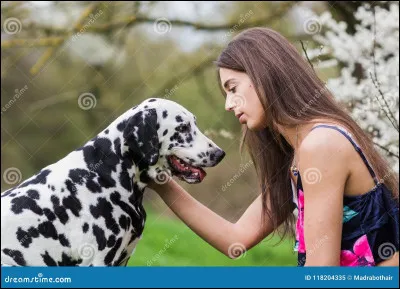 Une personne passe devant toi, te caresse et part. Que fais-tu ?