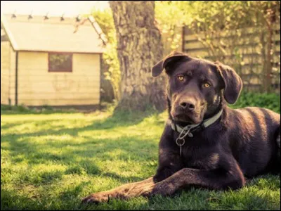 Finalement, elle te ram&egrave;ne chez elle et r&egrave;gle tes probl&egrave;mes de sant&eacute;. Que fais-tu en premier ?