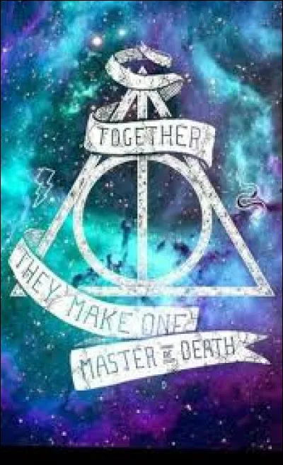 En quoi Sirius Black se transformait-il ?