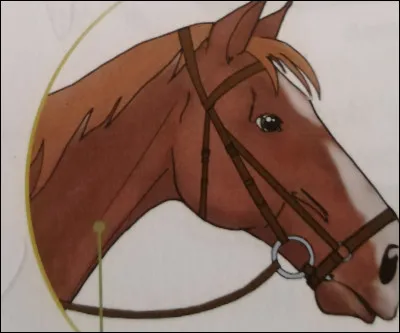 Quelle est ce type de muserolle ?