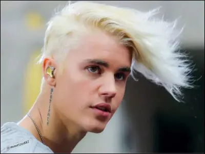 Entre autres, les orangs-outans ainsi que les [...quel animal ?] sont souvent gauchers !