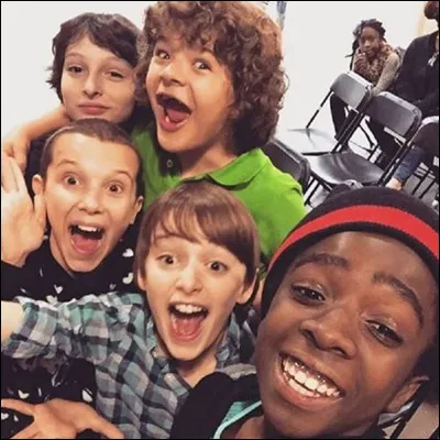 Comment s'appellent les acteurs interprétant Mike, Elfe, Max, Lucas, Will et Dustin ?