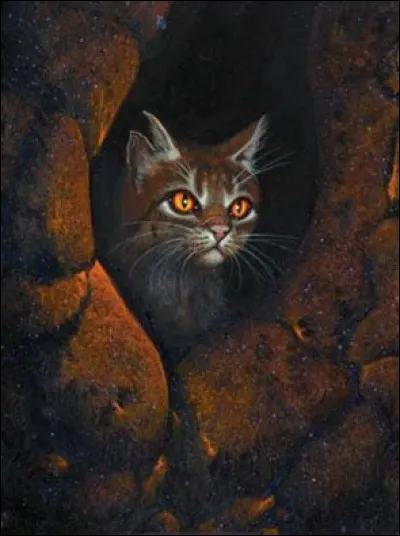 Il y a deux chats du nom d'Étoile du Tigre dans la série.