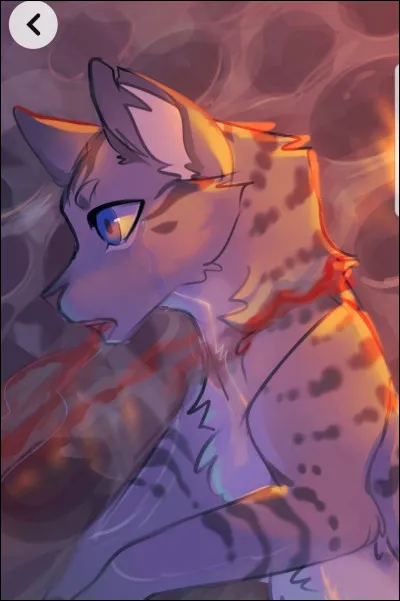 Pelage de Granit a rejoint la Forêt Sombre après sa mort.