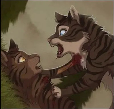 Qui était son mentor dans la Forêt Sombre ?