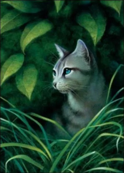 Qui sont leurs compagnons ?