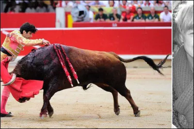 Comment s'appelle le mâle de la vache ?