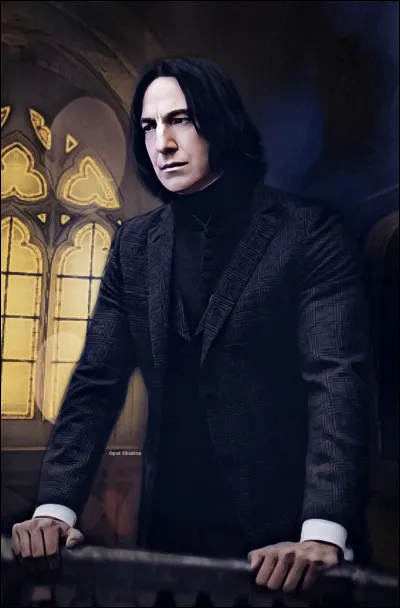 Lettre S. De qui Severus Rogue était-il amoureux, petit ?