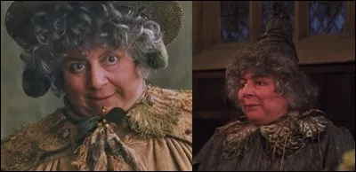 Lettre C. Quelle matière enseigne Pomona Chourave ?