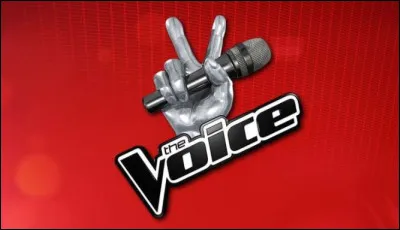 Quel chanteur/quelle chanteuse a participé à l'émission "The Voice" ?