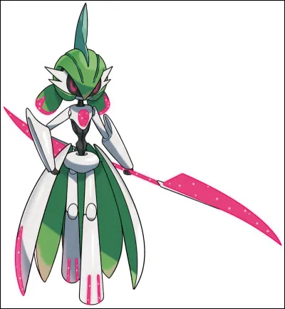 Quelle est cette carte ?