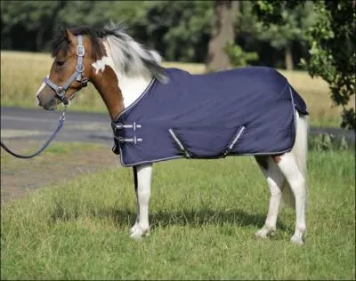 Pourquoi met-on une couverture au cheval ?
