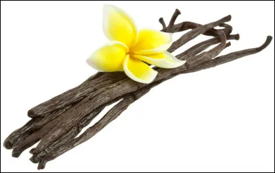 Préfères-tu la fraise ou la vanille ?