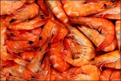 Préfères-tu du poisson ou des crevettes ?