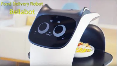 Comment se nomme ce robot ?