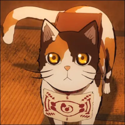 Comment le chat de Tamayo s'appelle-t-il ?