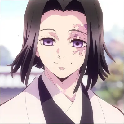 Combien de tomes la série "Demon Slayer" contient-elle (avec les fanbooks et les spin-offs) ?