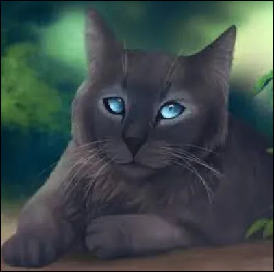 Combien sont-ils dans la prophétie ?