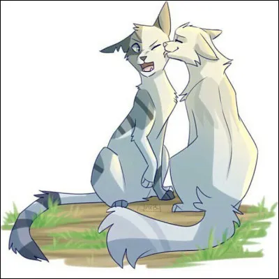 Quelle a été sa première mission ?