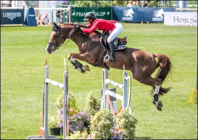 Toujours des champions de sauts, qui sont-ils ?