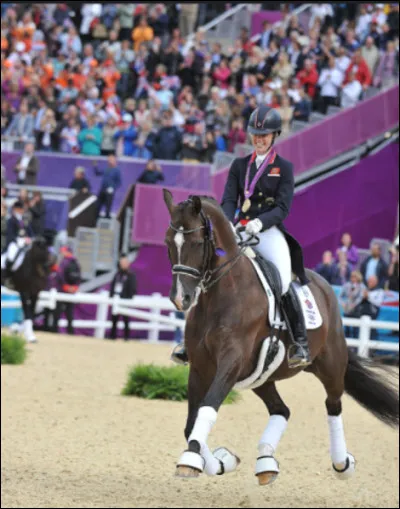 Trouvez ces champions de dressage cette fois-ci :