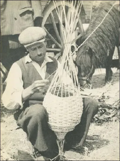 Quel est le nom de ce métier ?