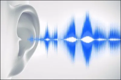 Quel nom donne-t on au bruit que fait le moustique en vol ?