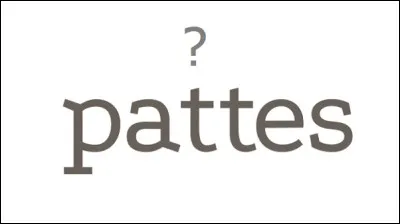 Un moustique possède combien de pattes en général ?