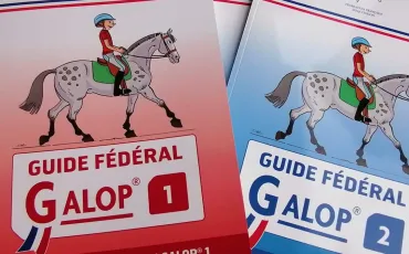 Quiz Galop 2