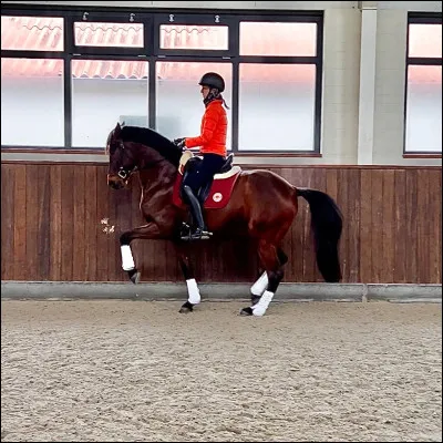 Comment s'appelle se geste ?