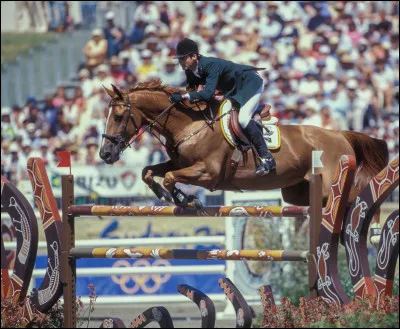 De quelle race est ce cheval ?