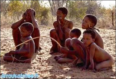 Culture et Société : Dans quel pays vit majoritairement le peuple des Bushmen ?