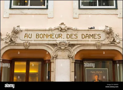 Quel auteur a écrit le roman "Au bonheur des dames" ?