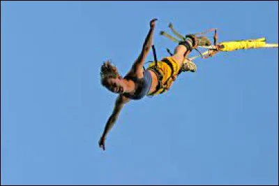 De quelle chanson sont les paroles " on m'a vu dans le Vercors sauter à l'élastique " ?