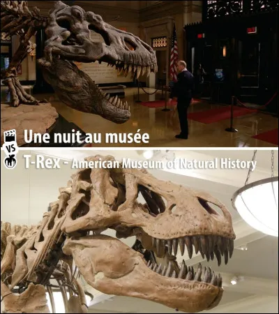 "Une nuit au musée" est un film joué par Ben Stiller.