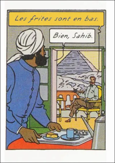 Là, c'est vraiment à se cogner la tête contre les mûres, non ?