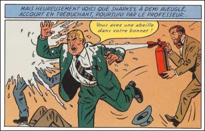 Encore une scène de rare violence... (NB : Ne faites jamais cela avec vos enfants : laissez faire les professionnels !)