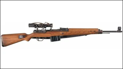 Quel est le nom de ce fusil semi-automatique ?