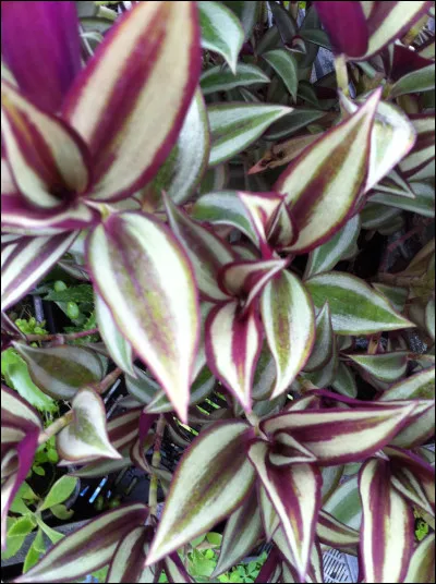 Épreuve de fonds, c'est la...