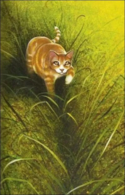 Maintenant tu es un guerrier. À l'Assemblée, un chat d'un autre clan te confie que son clan compte attaquer le tien la nuit prochaine. Que fais-tu ?
