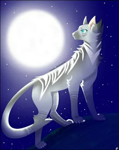 Et maintenant tu es chef ! Qui choisis-tu comme lieutenant ?