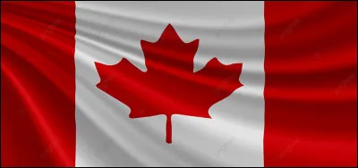 &Agrave; quel pays appartient ce drapeau ?